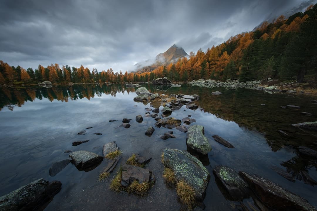 青平：China Travel旅游热，见证高水平敞开的我国